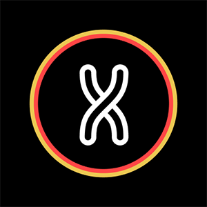 X Browser 极速浏览器